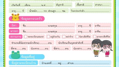แจกฟรี แบบบันทึกข้อมูลนักเรียนรายบุคคล 8 สี สวยงาม พร้อมปริ้น