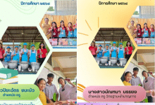 ดาวน์โหลดไฟล์ รายงานนวัตกรรมสร้างสรรค์คนดี 2568 บูรณาการทักษะอาชีพ โดย นางสาวปิยะฉัตร ชนะบัว นางสาวมัณฑนา บรรยง ครูโรงเรียนบ้านหนองไฮขามเปี้ย